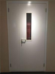 醫(yī)用鋼質(zhì)平開(kāi)門(mén)廠 潮州醫(yī)用鋼質(zhì)平開(kāi)門(mén) 百事特門(mén)業(yè)